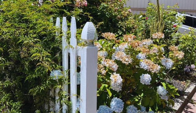 Peaceful Garden Craftsman