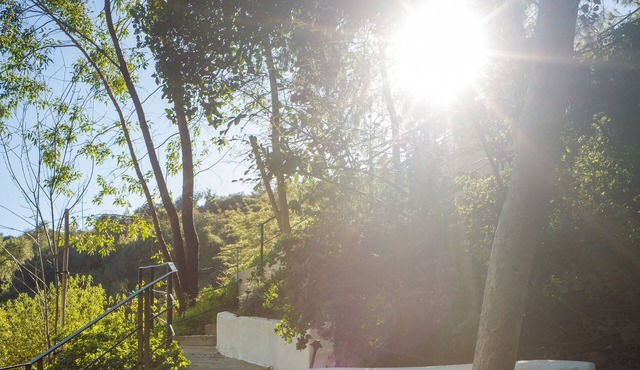 Peaceful Treehouse. Perched amongst the lush trees of Benedict Canyon.