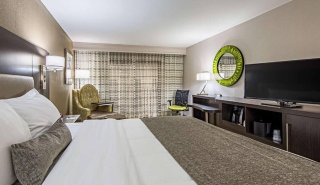 Pet-Friendly Hotel Perfect for Family & Business Stays | Near Dowtown in Clemson