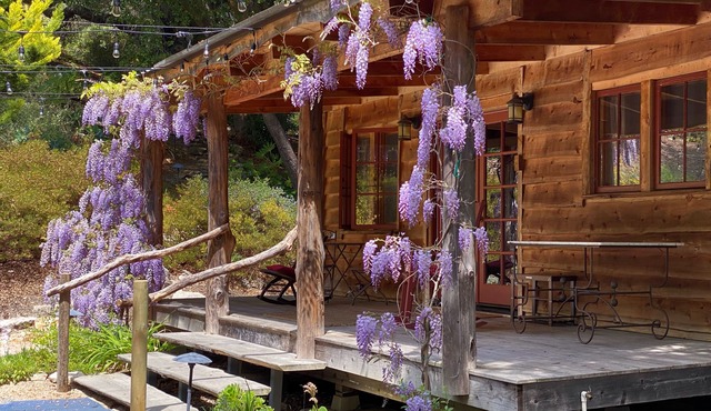 Private Creekside Cabin in See Canyon | Gated | Near Avila, Pismo & SLO