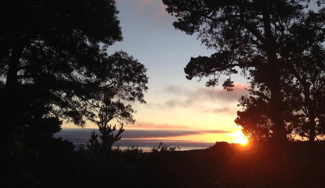 Private entrance, Dog Friendly, Monterey Peninsula