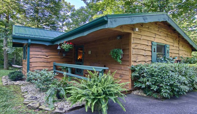 PRIVATE MOUNTAIN COUPLES GETAWAY. 16 MI TO ASHEVILLE. CREEK, HOT TUB, FIREPLACE