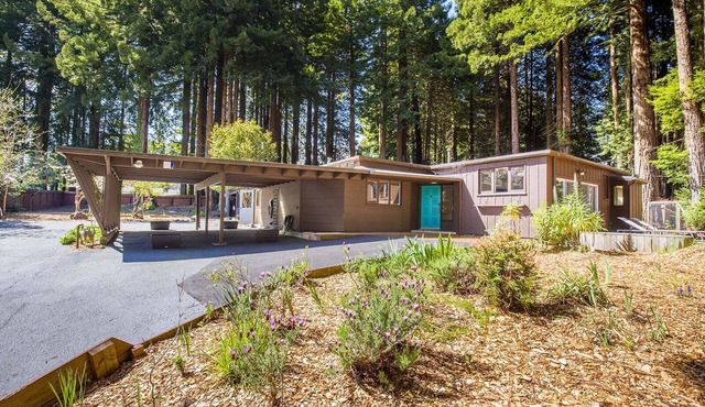 🌲Redwood Retro- Charming and Elegant Home with Vintage Charm Surrounded by Redwoods🌲✌️