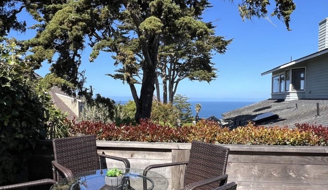 Sailaway - Pacific Grove House - Attention Sea Gazers!