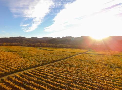 Santini Farmhouse With Tastings Included