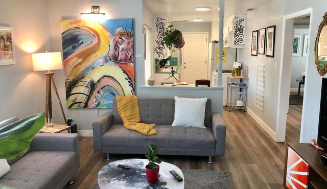 Smart Eclectic ART HOUSE near UC Davis Med Center