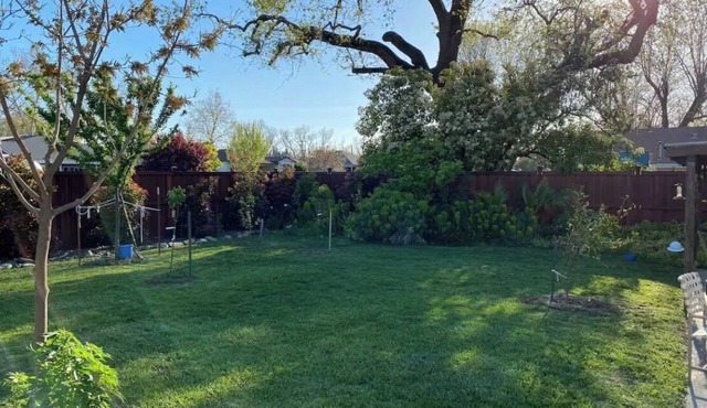 Spacious 4BR house in quaint Woodland.15 min from UC Davis & Sacramento Airport