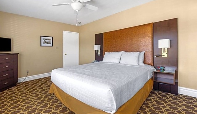 Spacious Suite | Courtyard | Outdoor Pool | Free Parking | BBQ Area