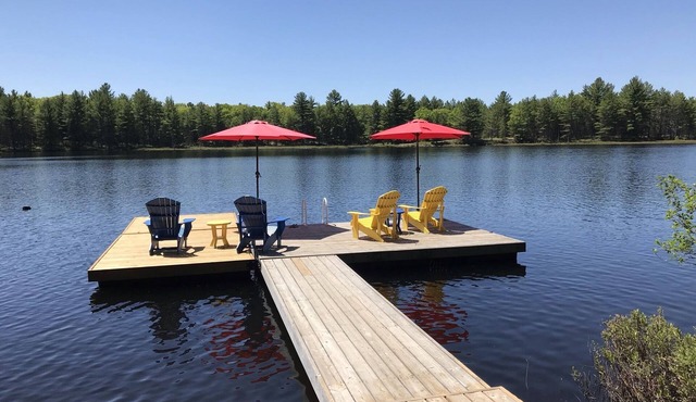 The Hideaway - Waterfront Cottage with private dock on Porter Lake - Muskoka in Bala