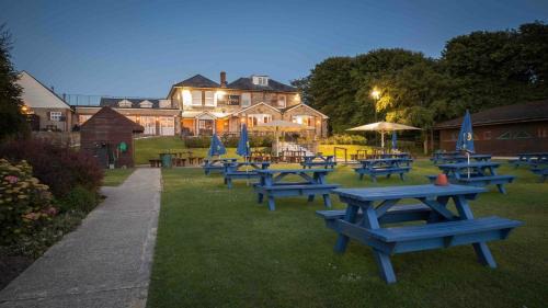 The Wight Mouse in Chale