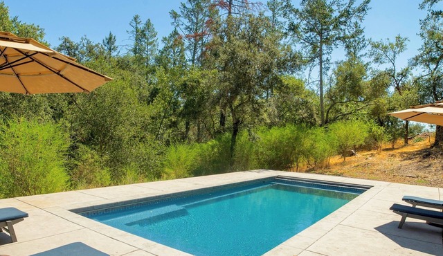 Wine Country Escape | Pool | Spa | Bocce | Dog OK