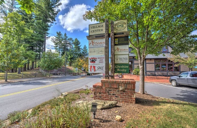 Adorable cabin in Village of Cheshire/Black Mountain. Includes Biltmore! in Black Mountain
