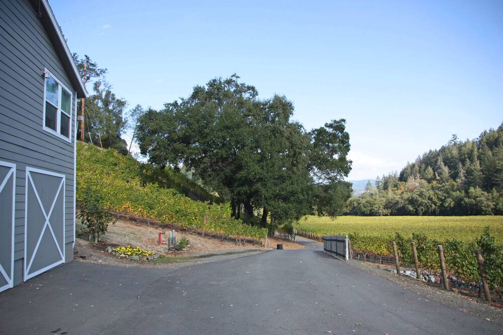 Photo of Outdoor in St. Helena