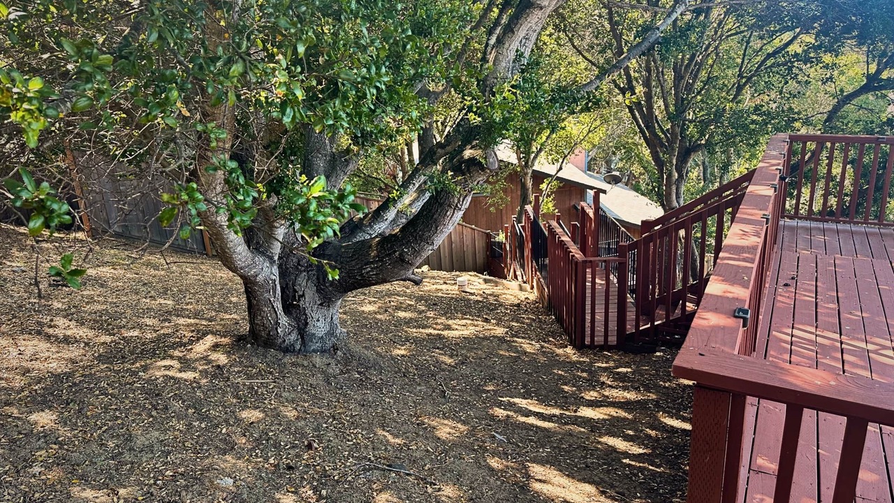 Photo of Outdoor in Belmont
