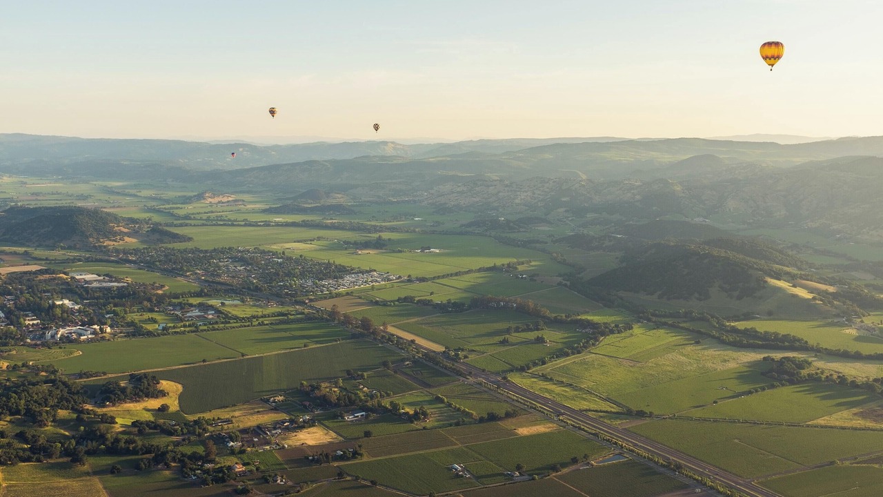 Photo of Others in St. Helena