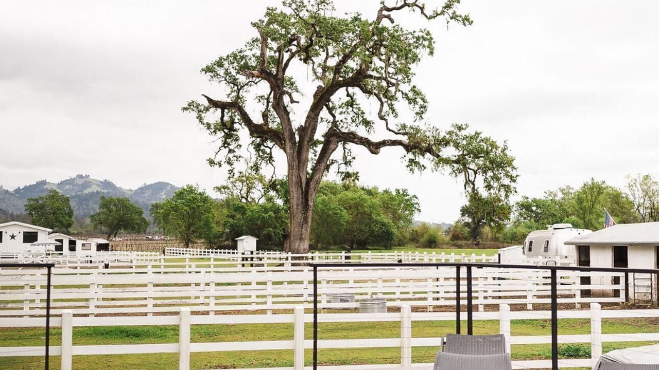 Photo of Outdoor in Healdsburg