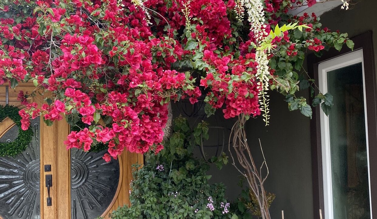 Photo of Outdoor in Mesa Del Mar