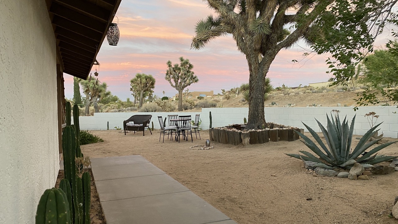 Photo of Others in Joshua Tree