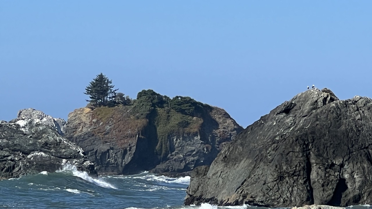 Photo of Others in Crescent City