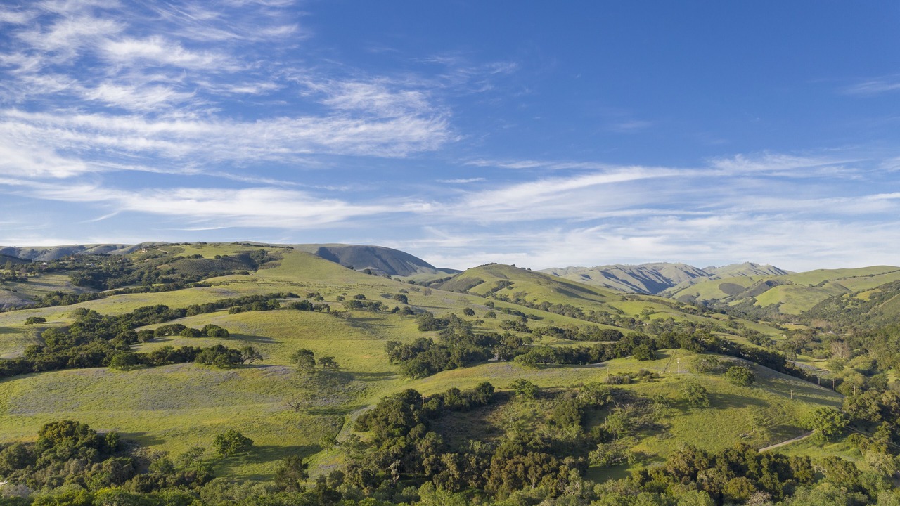 Photo of Others in Carmel Valley
