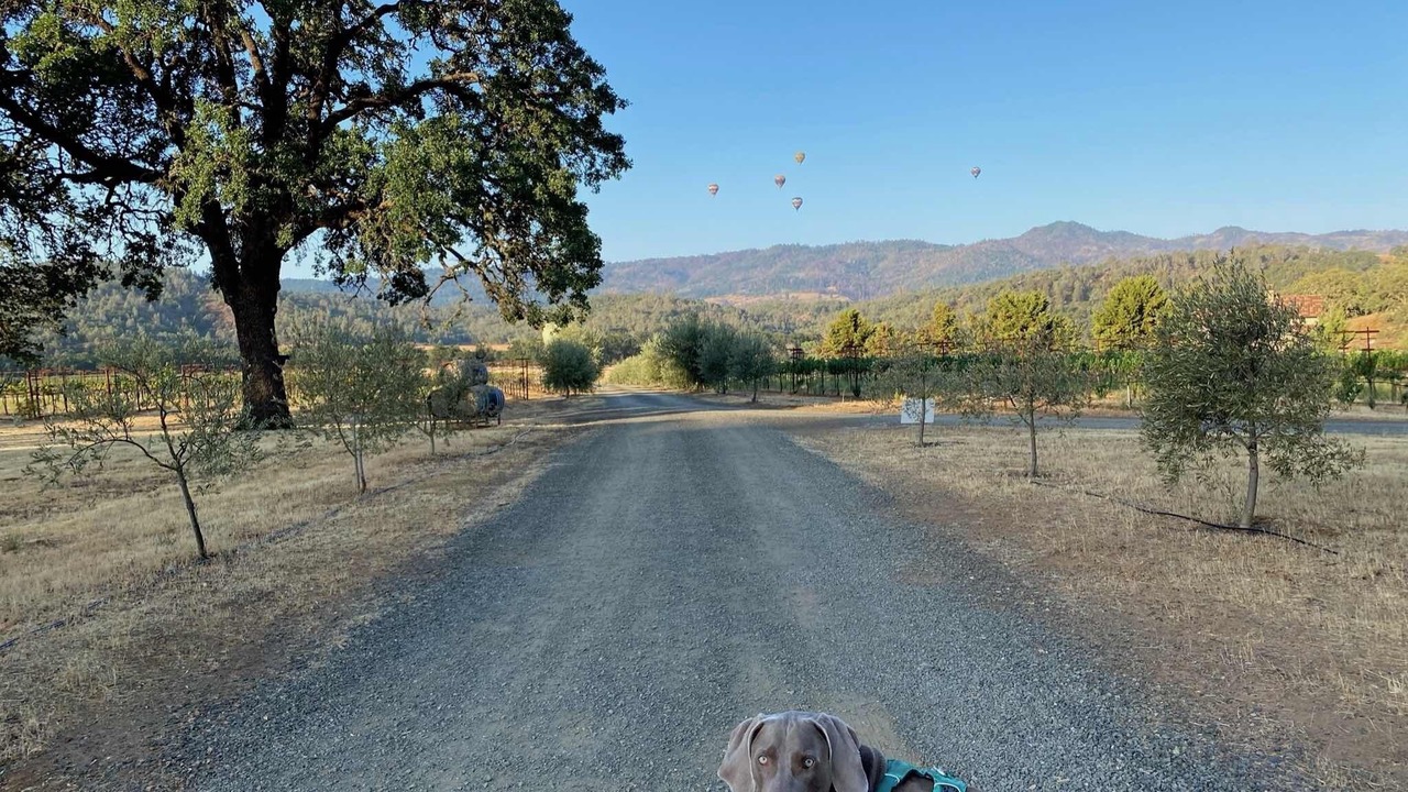 Photo of Others in Pope Valley