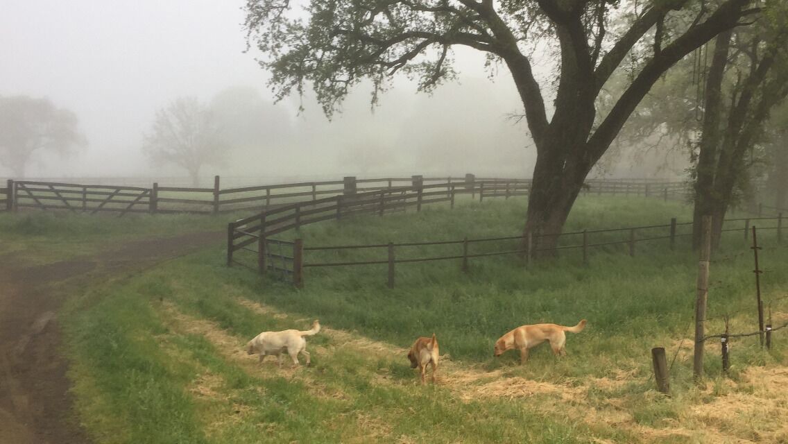 Photo of Outdoor in St. Helena