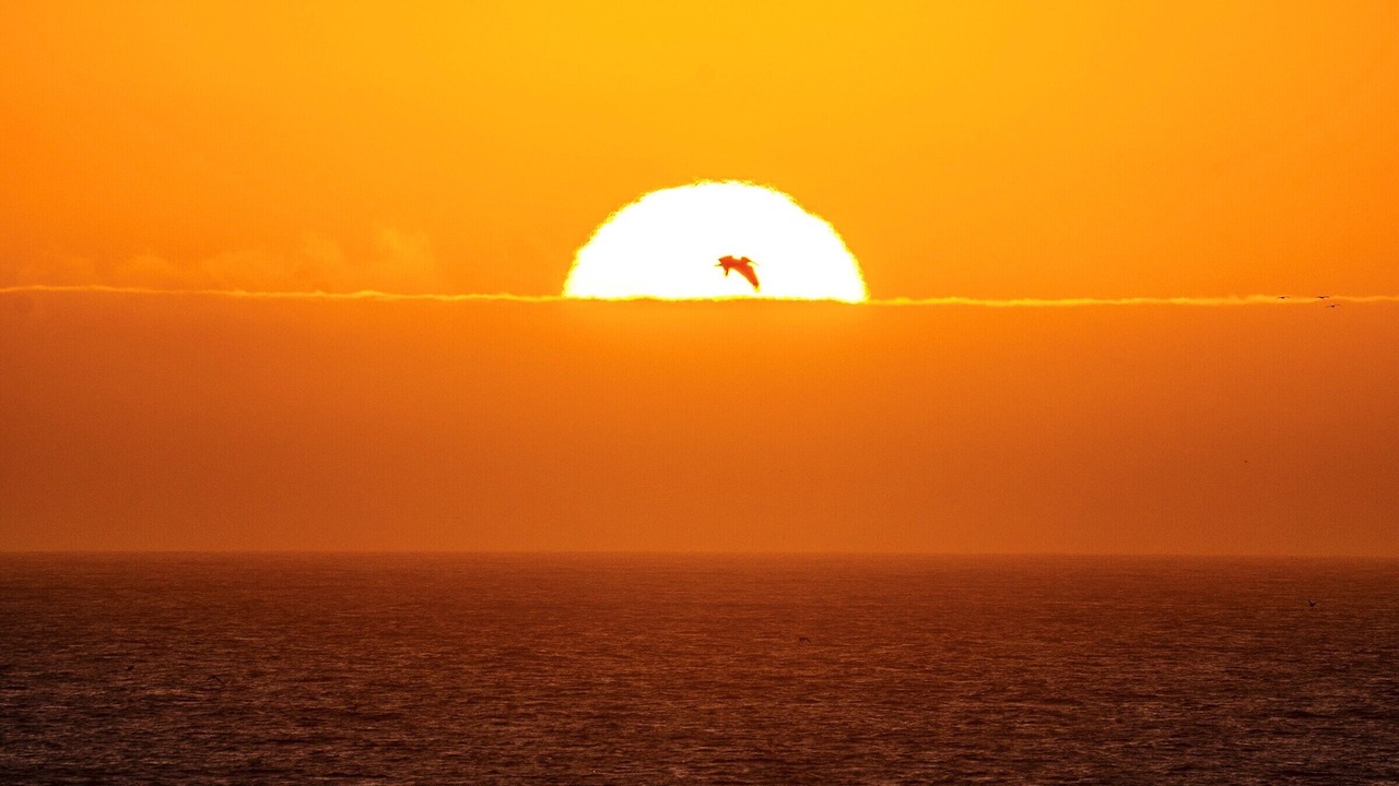Photo of Others in Pajaro Dunes