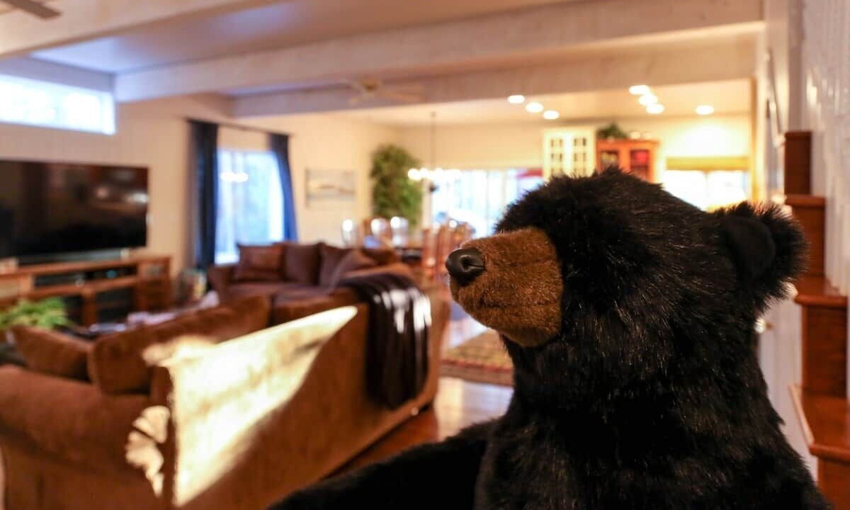 Photo of Others in Big Bear Lake