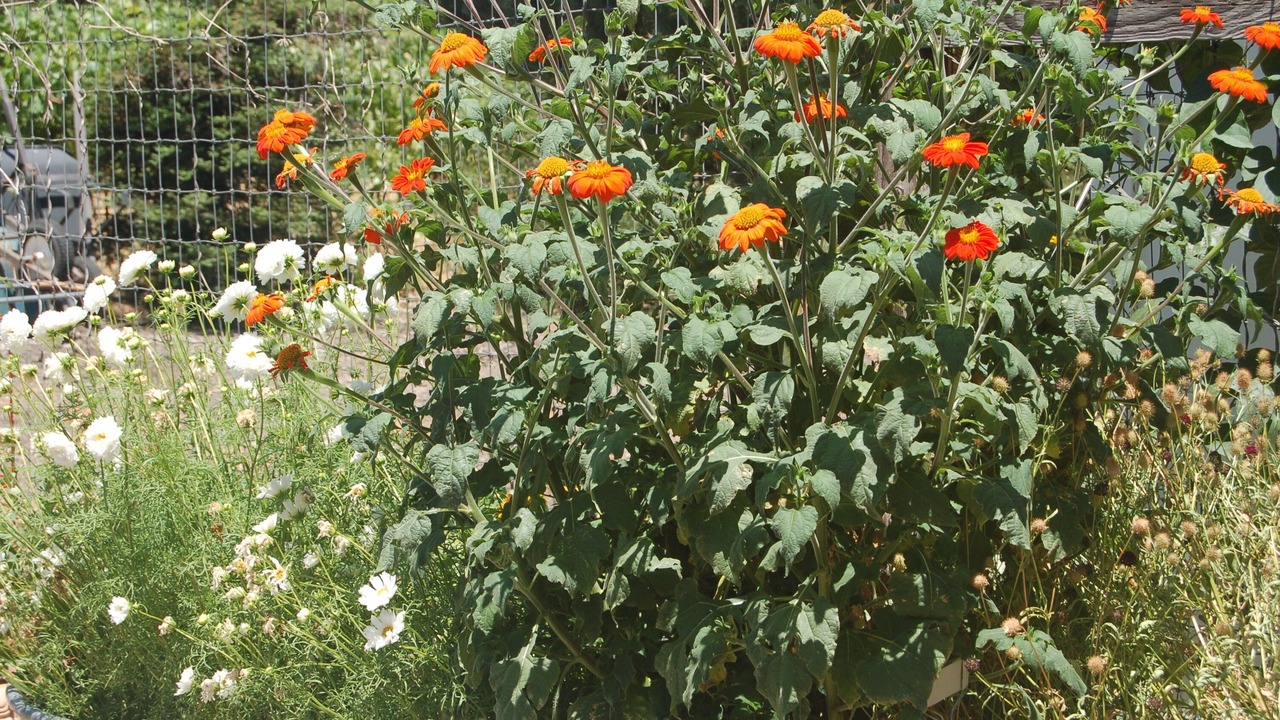 Photo of Others in El Verano