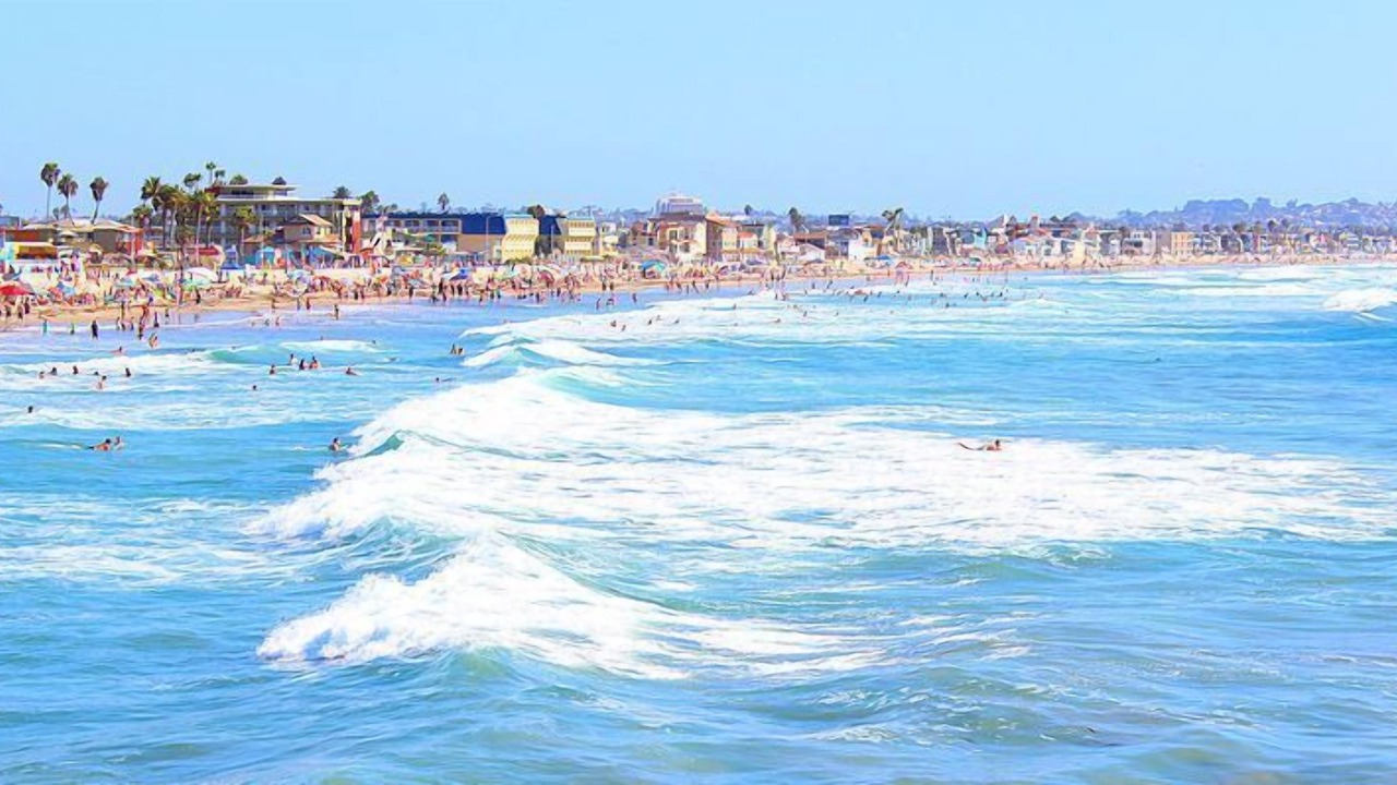 Photo of Others in South Mission Beach