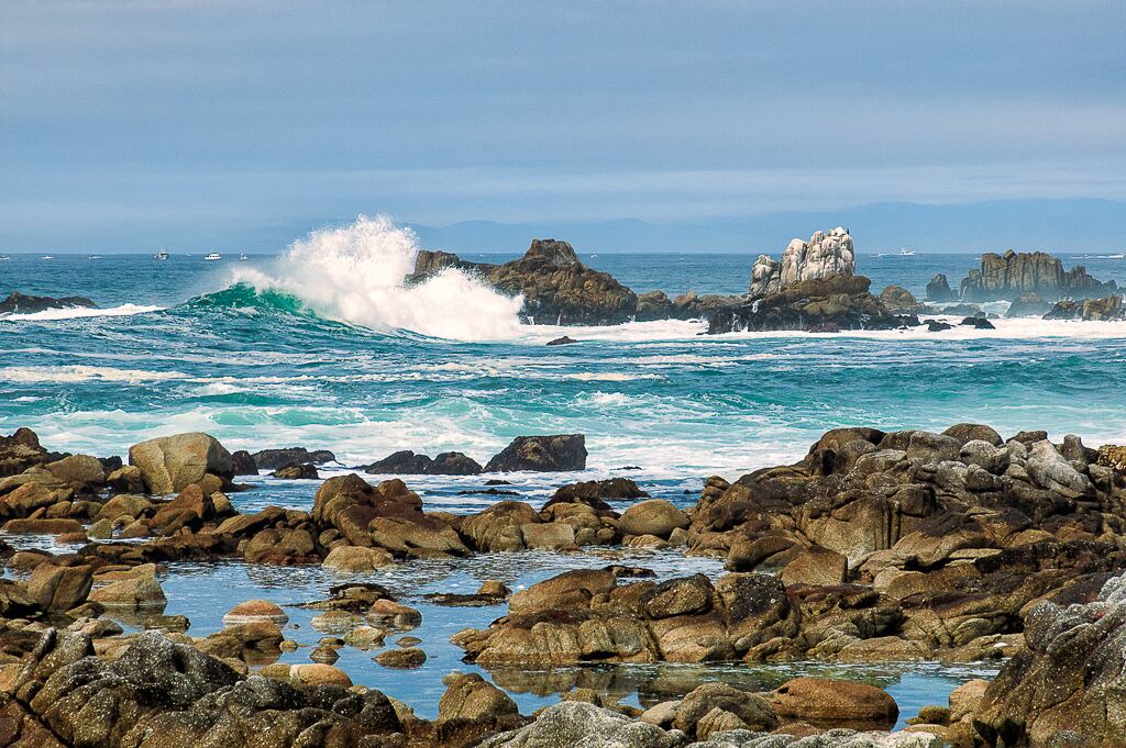 Photo of Others in Pacific Grove