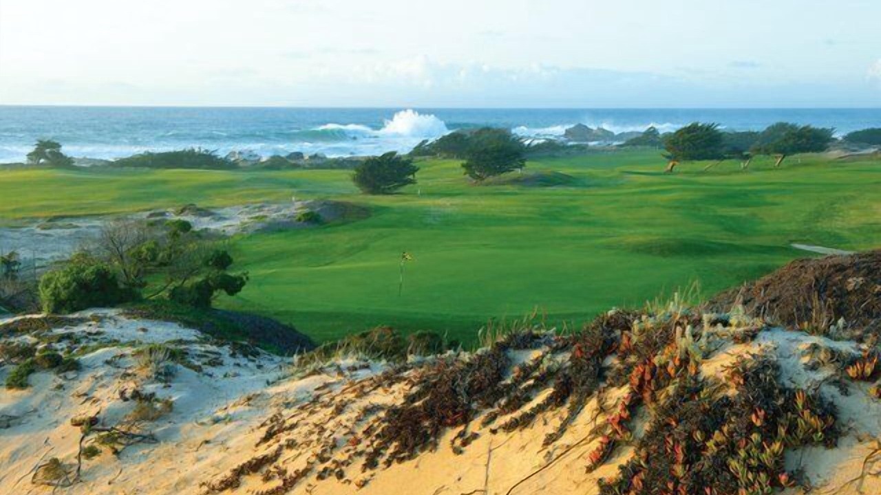 Photo of Others in Pacific Grove