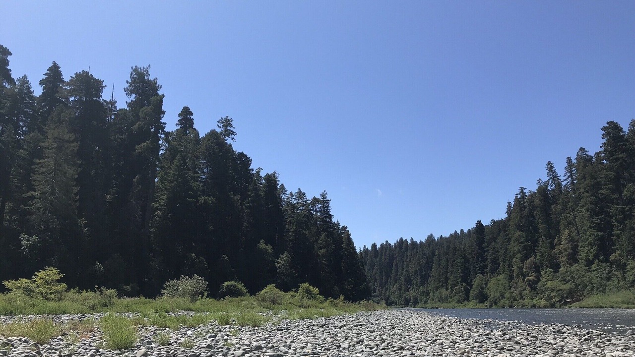 Photo of Others in Crescent City