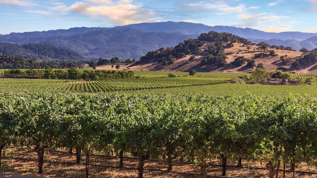 Photo of Others in Napa