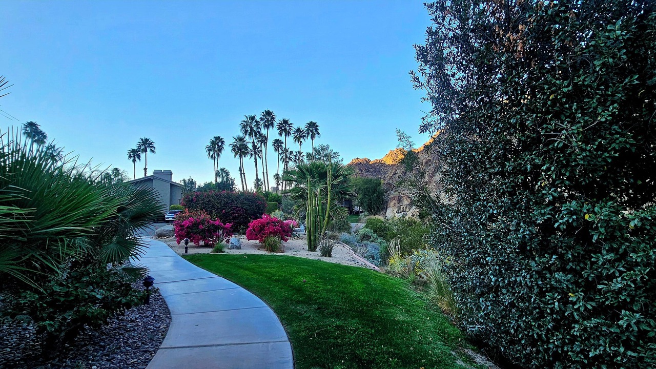 Photo of Outdoor in Indian Wells