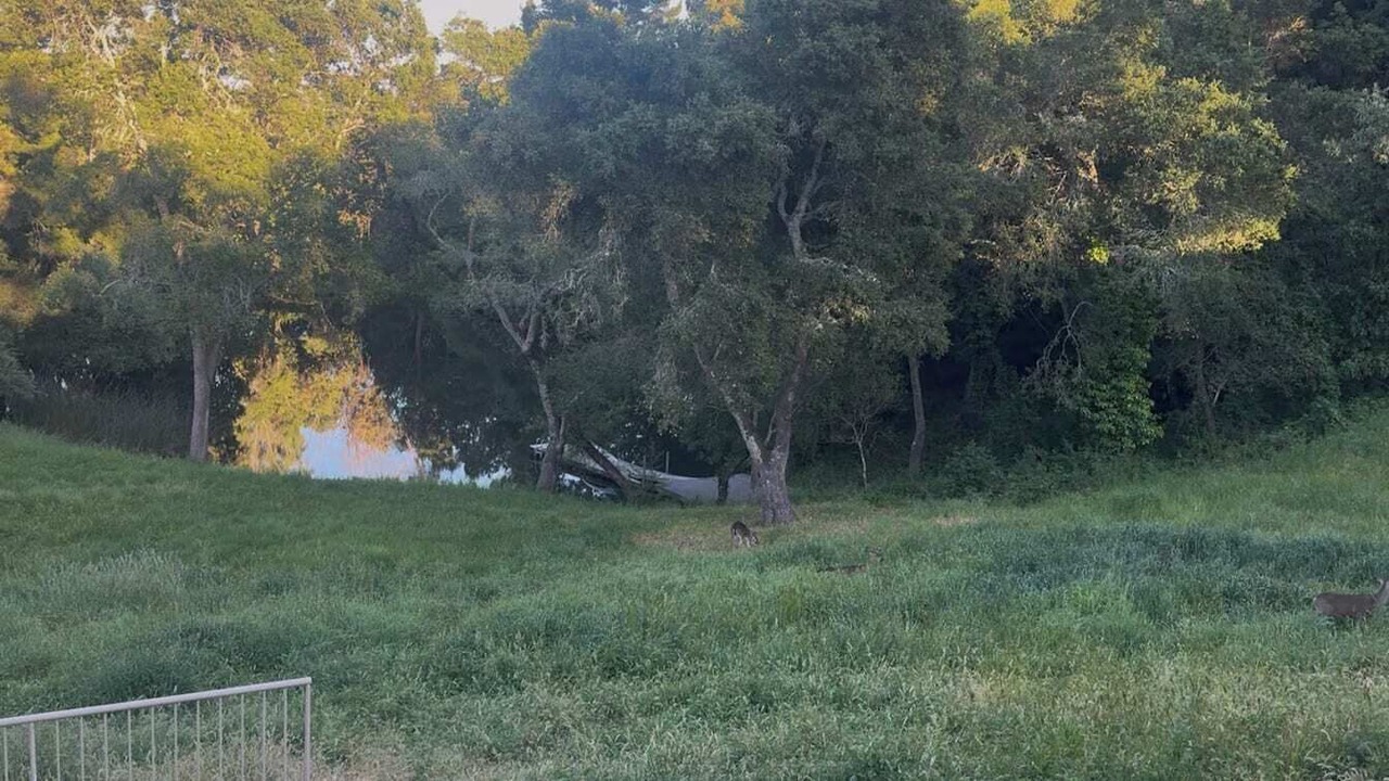 Photo of Others in Woodside