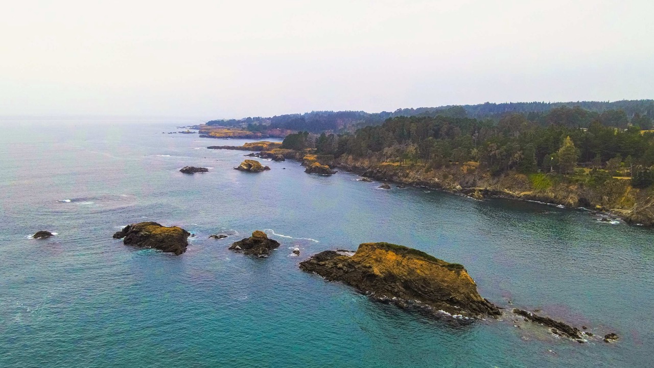 Photo of Others in Mendocino