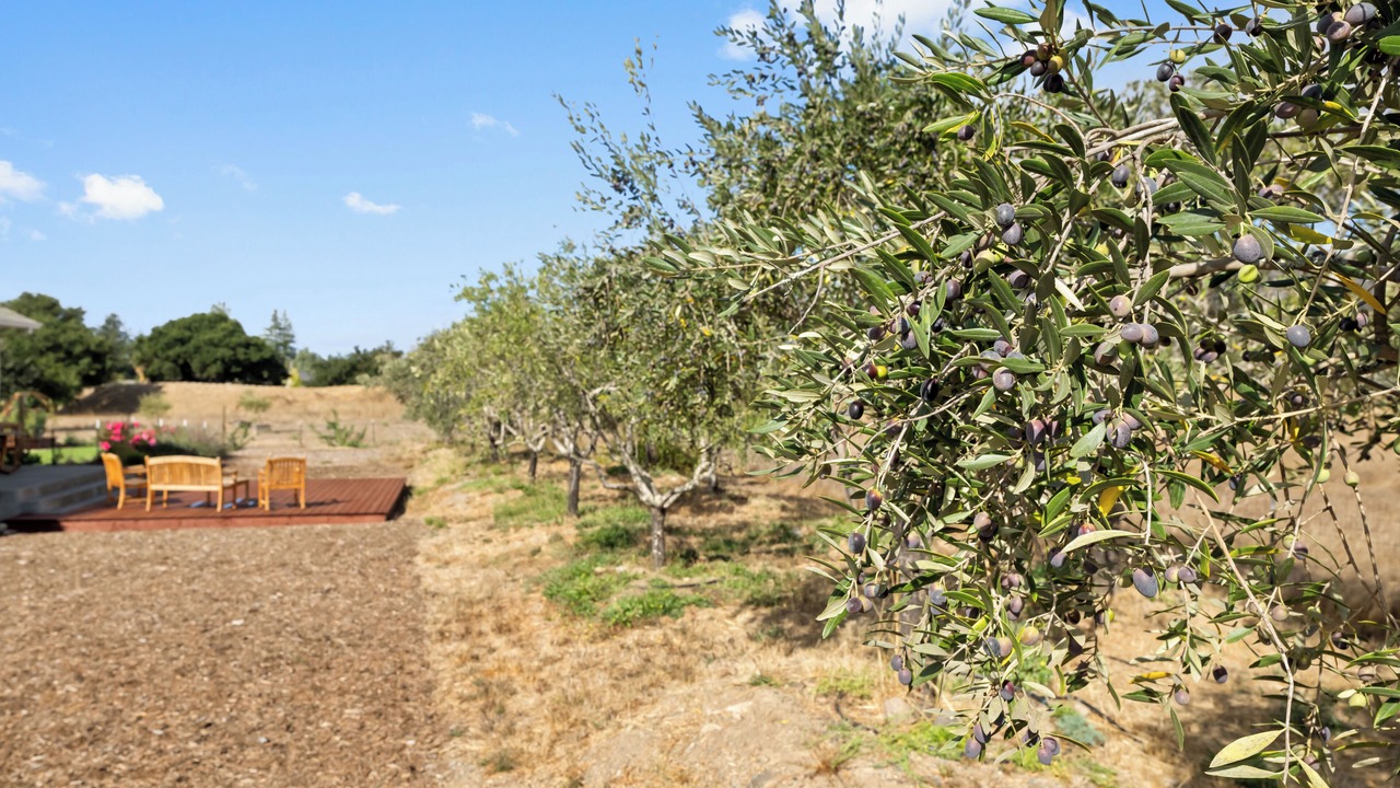 Photo of Outdoor in Santa Rosa