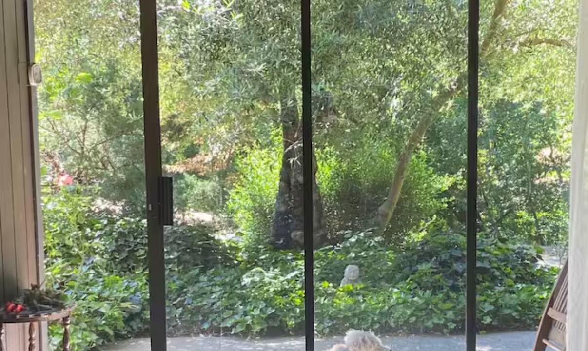 Photo of Others in Santa Rosa