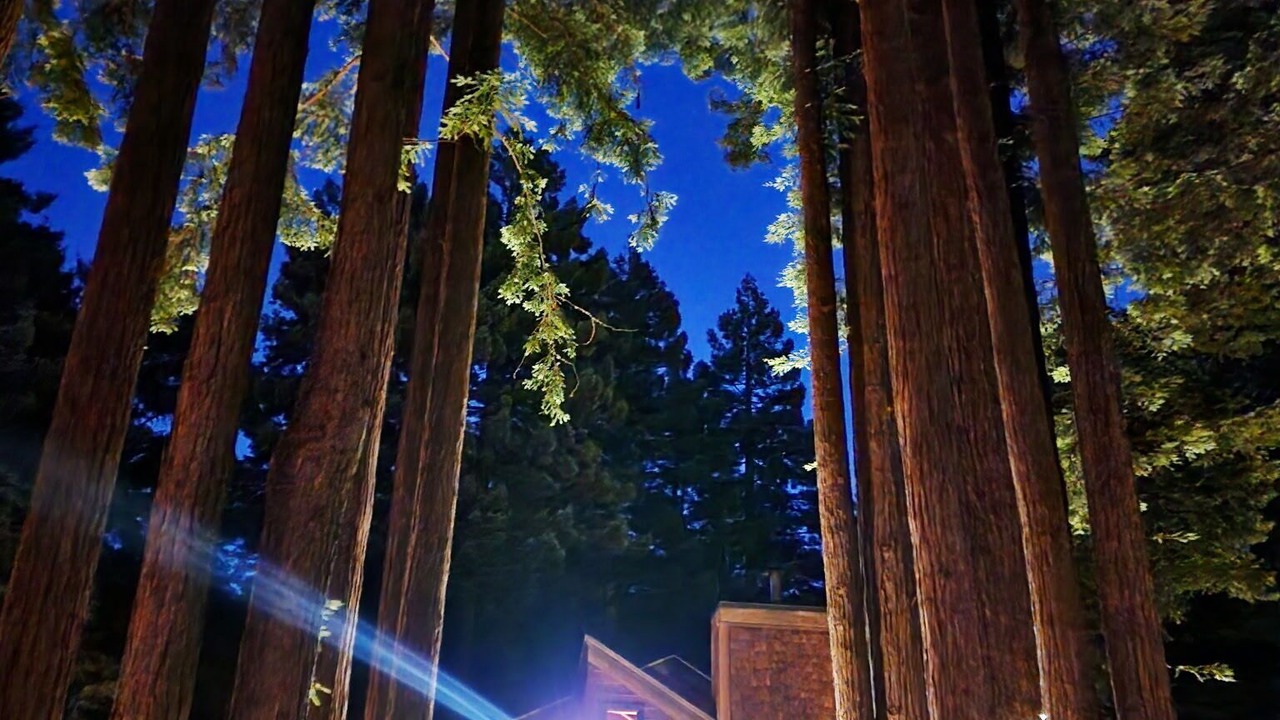 Photo of Outdoor in Fort Bragg