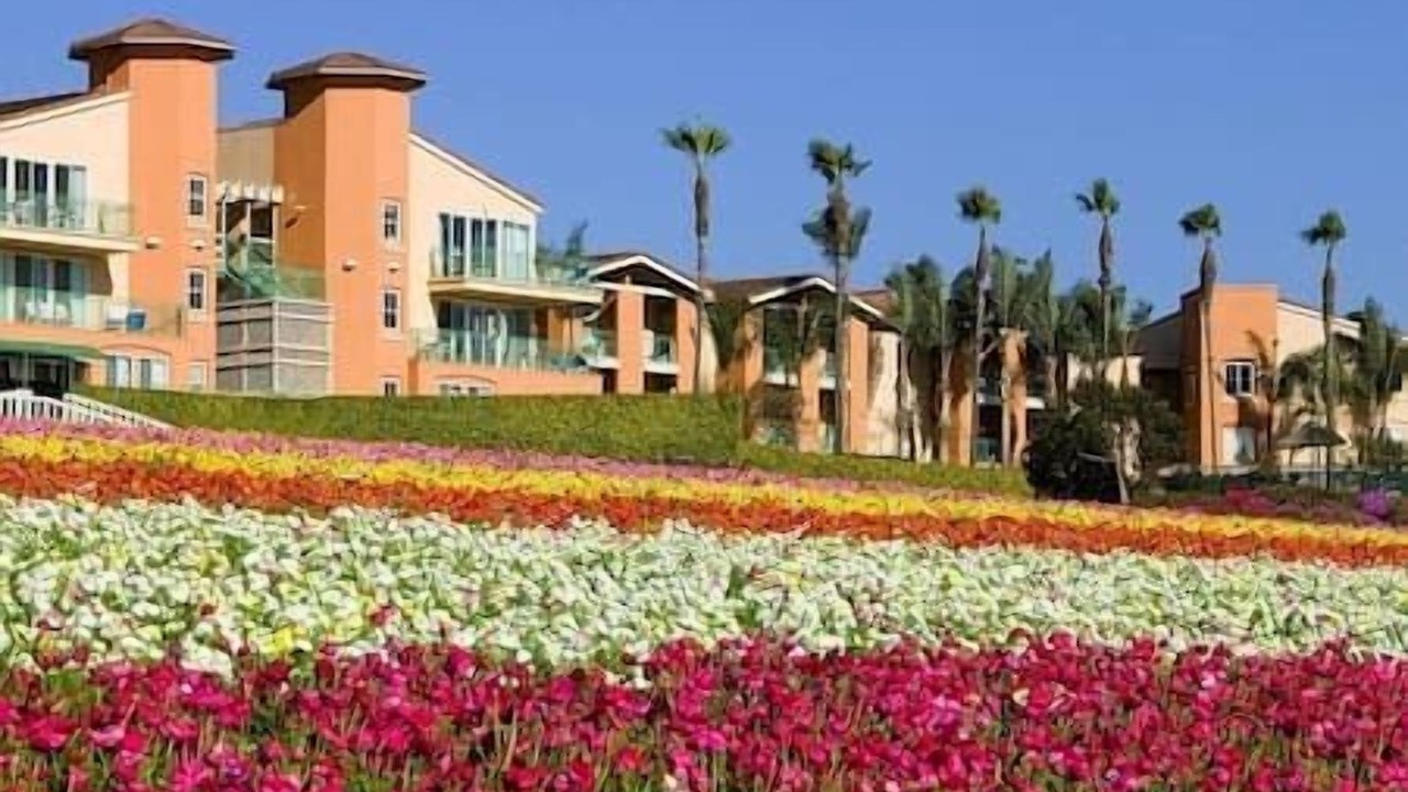 Photo of Outdoor in Carlsbad