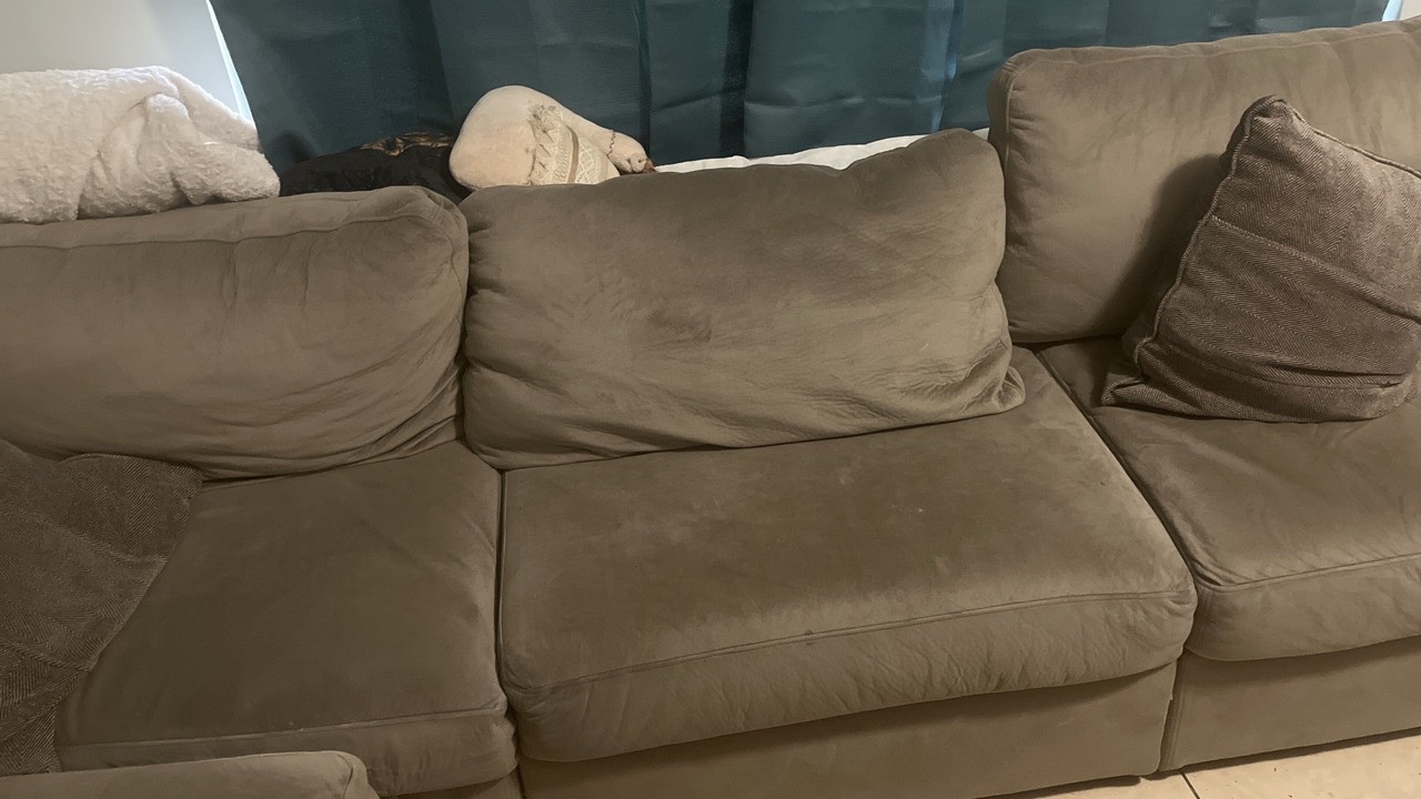 Photo of Livingroom in Park Mesa Heights