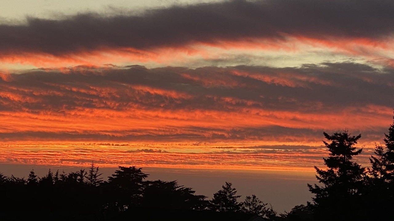 Photo of Others in Mendocino