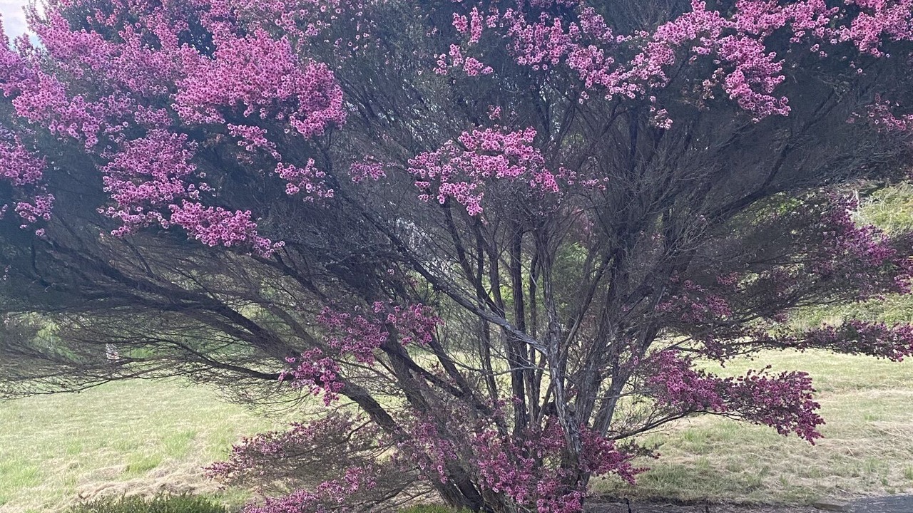 Photo of Others in Mendocino