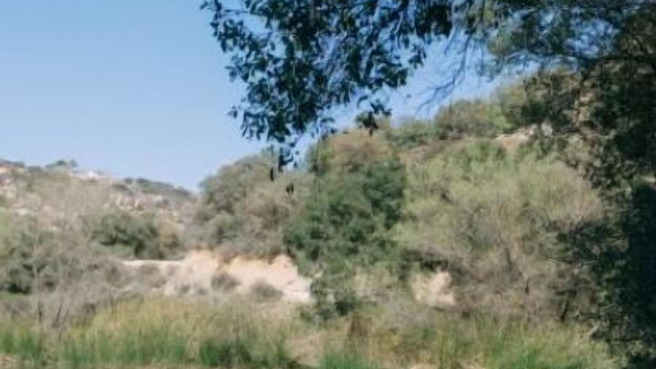 Photo of Others in Jamul