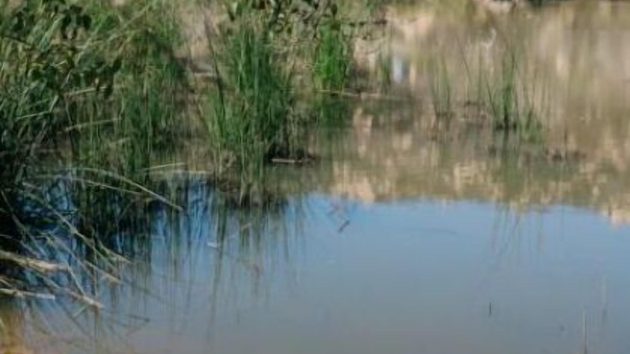 Photo of Others in Jamul