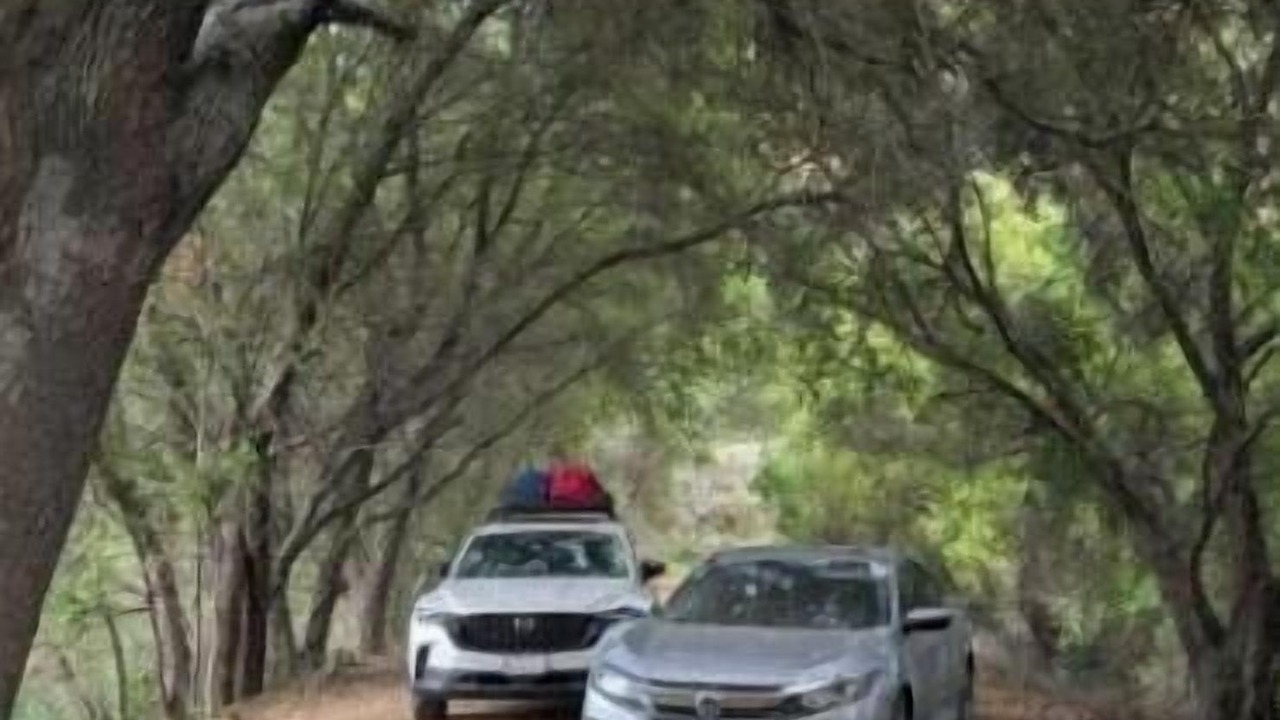 Photo of Others in Jamul