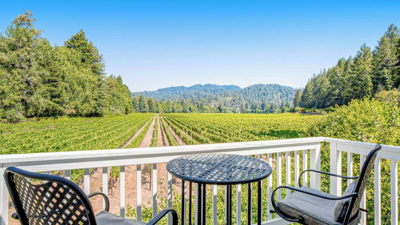 Photo of Outdoor in Guerneville
