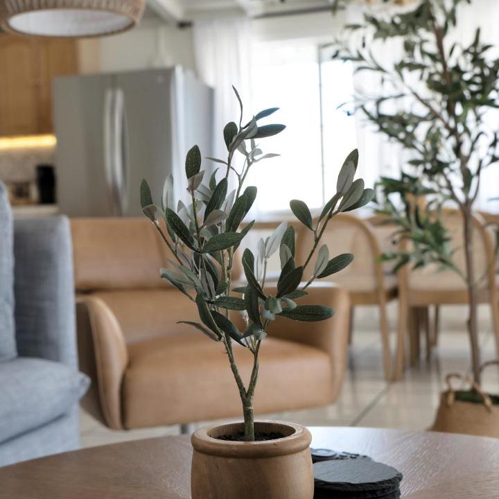 Photo of Livingroom in Sherwood Forest and Thistle Development