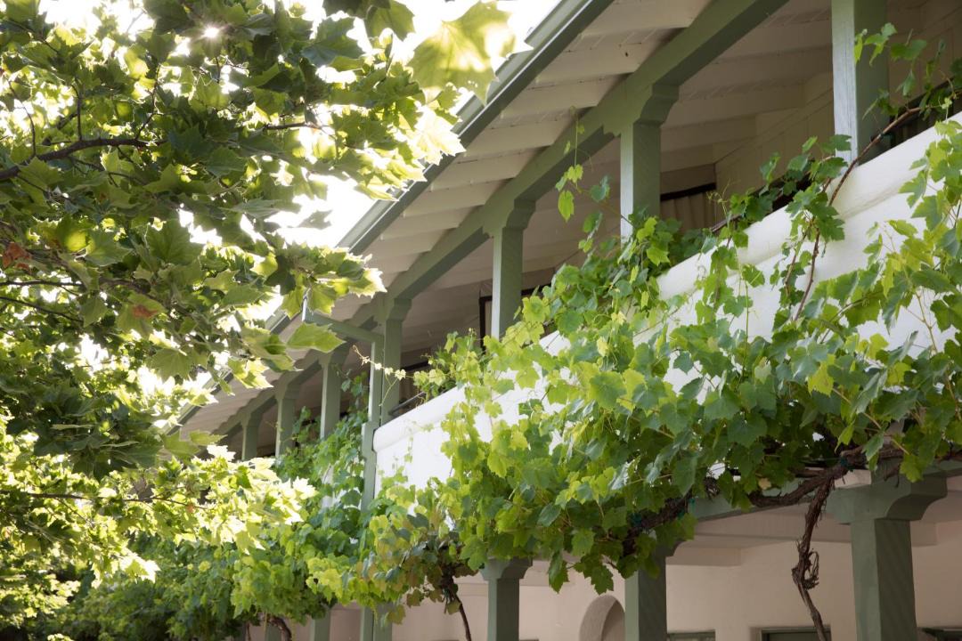 Photo of Others in Calistoga